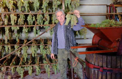 Agriturismo La Roverella - Foto 15