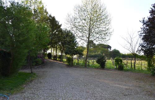 Quinta do Mosteiro - Foto 74