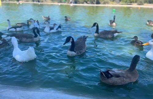 Saguaro at Cactus Flower-HOT TUB-Pet Friendly-No Pet Fees! - Foto 55