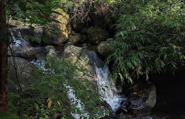 Tentgram 900 Kandi - Foto 17