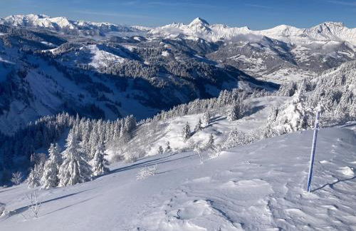 Demi Chalet Le LACHAT - Photo 53