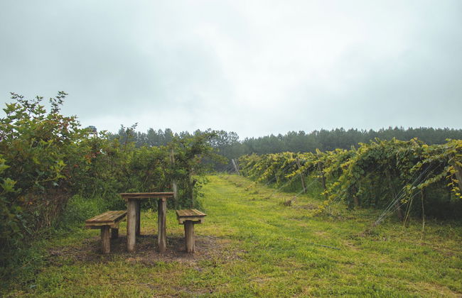 Cabanas Doce Recanto - Foto 11