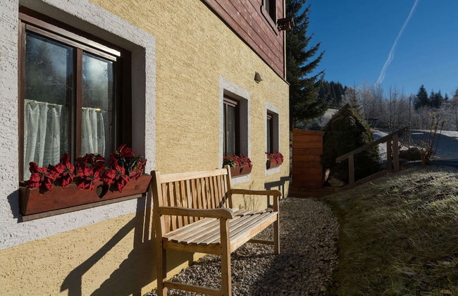 Spacious Holiday Home near Ski Area in Leogang - Foto 21