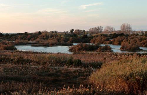 Flamingo Sunset Cruise by ACS HOLIDAYS - Foto 37