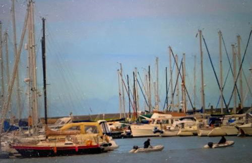 Seestern am Naturstrand - Foto 24