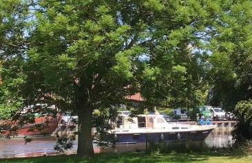 Hafenfewo Weener - Urlaub direkt am Wasser - Foto 25