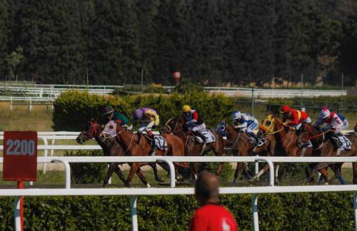 Appartement duplex à Chantilly centre - Foto 5