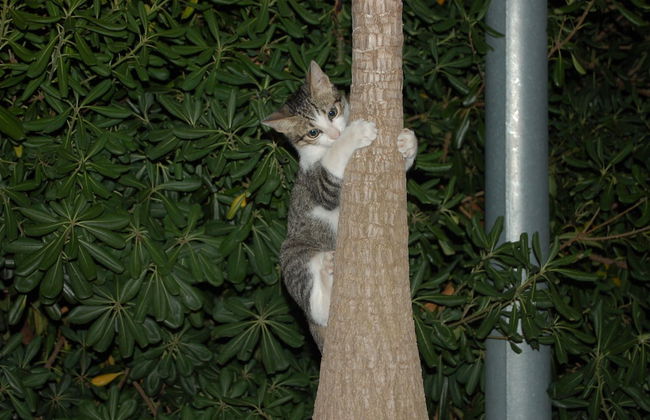 Il Giardino del sole - Foto 63