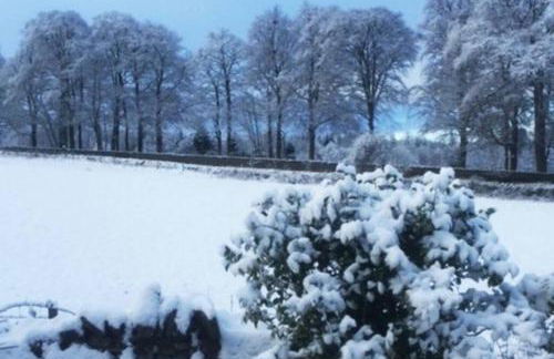 TomaX Garden Cabin Free Parking - Photo 16