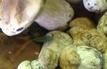 Aia di Lazzaro Agriturismo - Foto 37