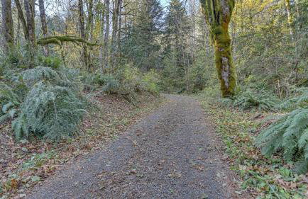 Cedar Creek Hideaway - Meredith Lodging - Foto 56