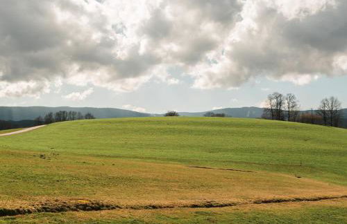 Im Bayerischen Wald - Foto 28