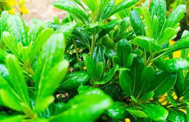 Grandmas Cottage - Photo 69