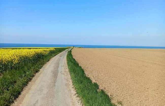 Spacious Holiday Home With Garden - Foto 39