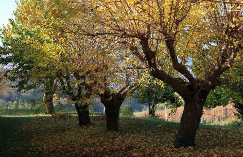 Agriturismo Segnavento - Zaccagnini - Foto 20