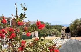 Platan Paradise - Foto 50