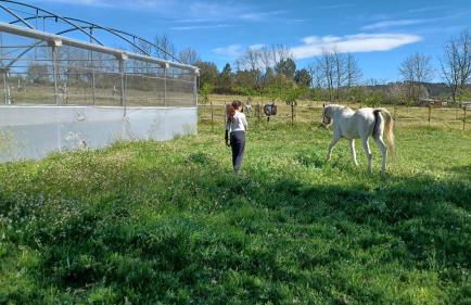 Quinta da Carreirinha - Foto 48