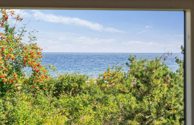 "Gjorgje" - 100m from the sea - Foto 12