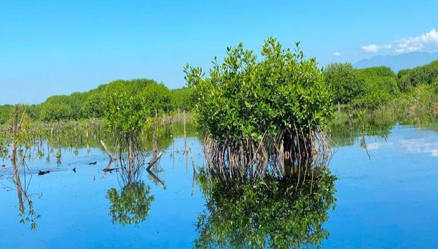 Explora cuatro encantadores pueblos de Oaxaca - Tour de un día entero - Foto 3