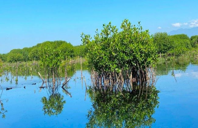 Explora cuatro encantadores pueblos de Oaxaca - Tour de un día entero - Foto 3