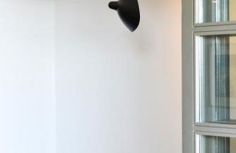 Archipelagotinos - Foto 68