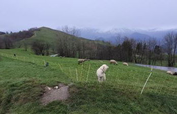 Les Bottières 73300 T3 50m2 4 à 6 pers - Foto 24