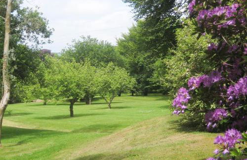 Isolda's - Ukc3905 - Photo 16