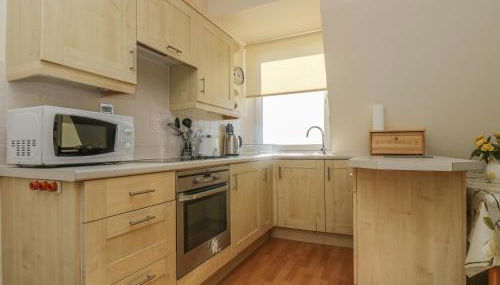 Gannet Watch - Foto 5