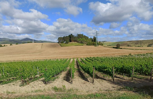 "Recorre las onduladas colinas de Chianti" con almuerzo y degustaciones de vino - Foto 32