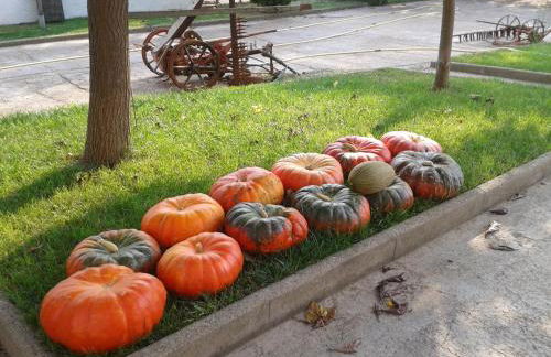 Mas Cabrit - Foto 21