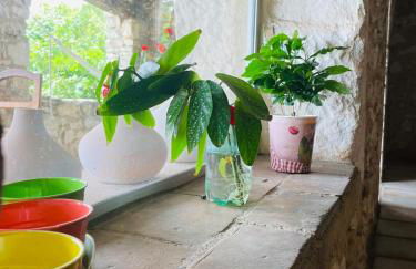 mas du Clap - Photo 17