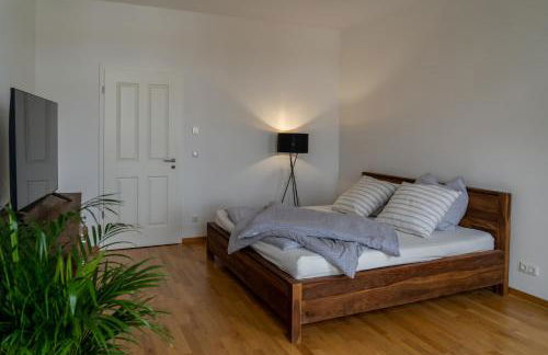 König Albert Residenz nahe BMW , Porsche , DHL und Messe - Foto 38