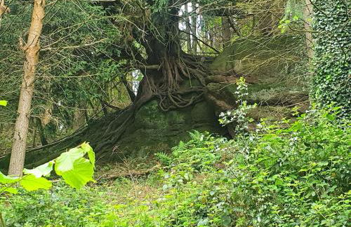 Clairville Apartment - Garden Terrace, Central Ross-on-Wye - Foto 10