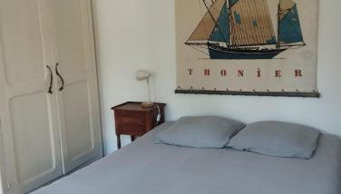 Pampounette - Foto 4