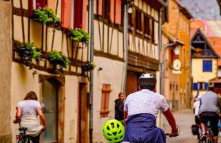 L'Etoile du Vignoble Meublé de Tourisme 4 étoiles au cœur d'un ranch alsacien sur la route des Vins - Climatisé - Foto 39