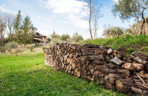 Villa de Luccheri - Foto 71