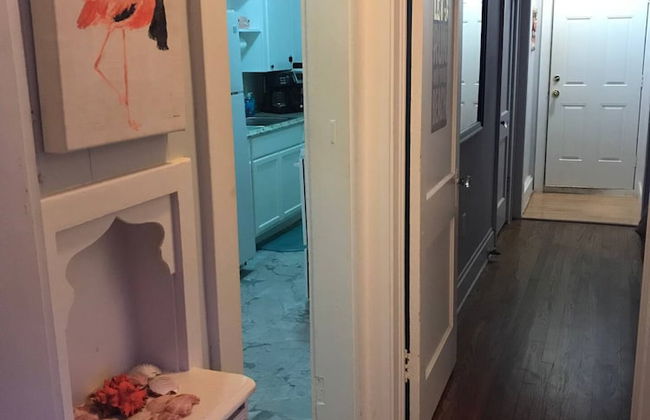 Funky Flamingo - Foto 22