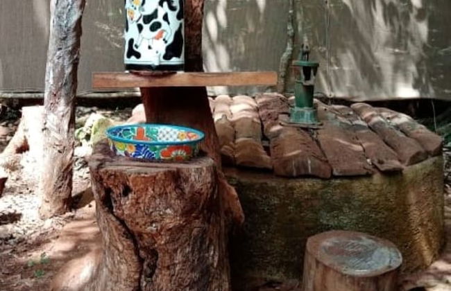 Hotel y Temazcal en Solferino - Foto 37