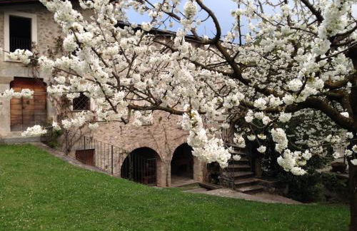 La Sorgente al Roseto del Drago - Foto 23