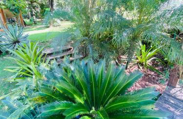 Casa de Campo Pampulha - Foto 32