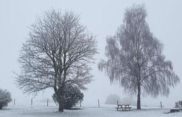 The Rock self-catering holiday cottage and garden lodges - Foto 62