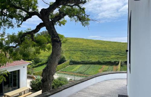 Solar Branco Eco Estate - Photo 3