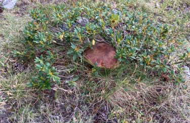 la grange T2 Centre Ville Jardin WIFI - Foto 22