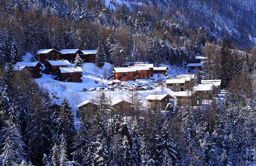 Les Chalets Petit Bonheur - LES CHALETS PETIT BONHEUR - CHT79 MAE-2494 - Foto 11