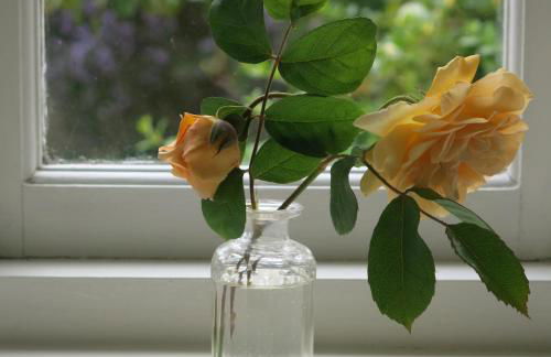 Characterful Cotswold cottage - Foto 20