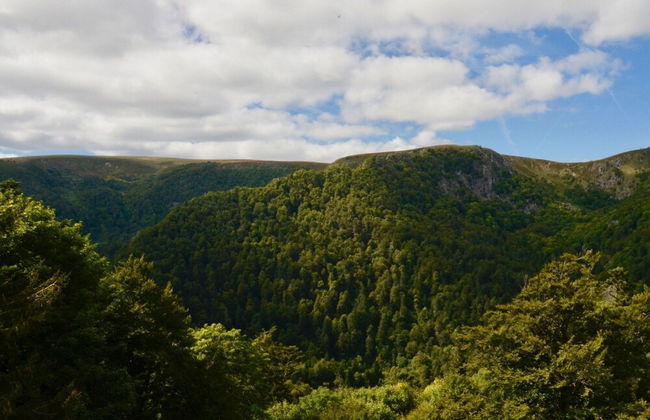 Holiday Home in Auvergne With Roofed Garden and Terrace - Foto 78