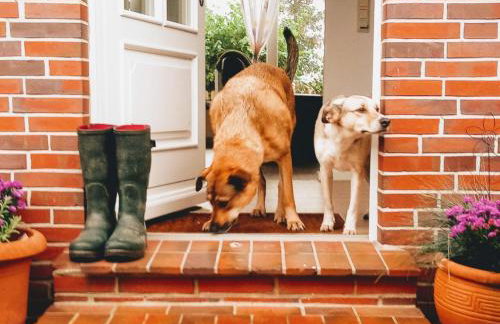 Holiday Home Jadeglück by Interhome - Foto 6