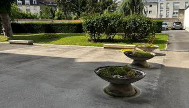 ARENA Center Town - Photo 2, Garden view