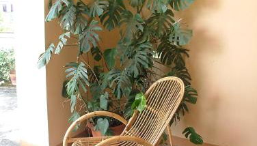 Casa Giordano - Foto 3