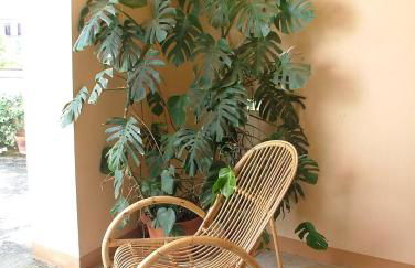 Casa Giordano - Foto 3